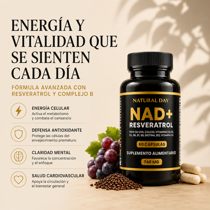 Satoomi Resveratrol NAD+  X60 Cap